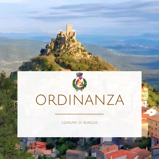 Ordinanza N. 2 del 27.05.2025