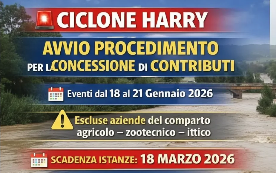 Concessione di contributi economici a soggetti privati in conseguenza degli eventi del ciclone Harry