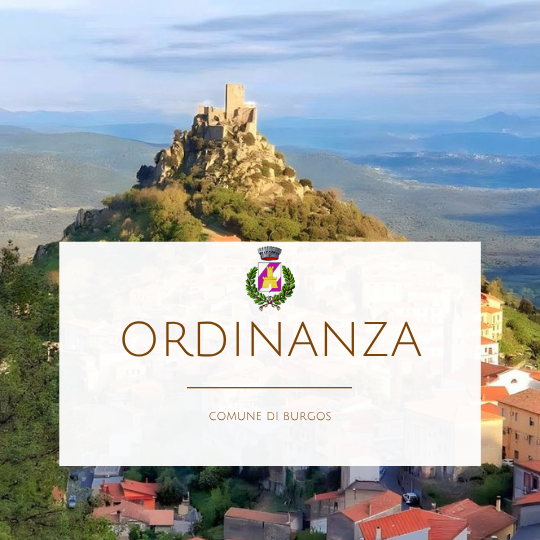 ORDINANZA N. 2 DEL 27.05.2025